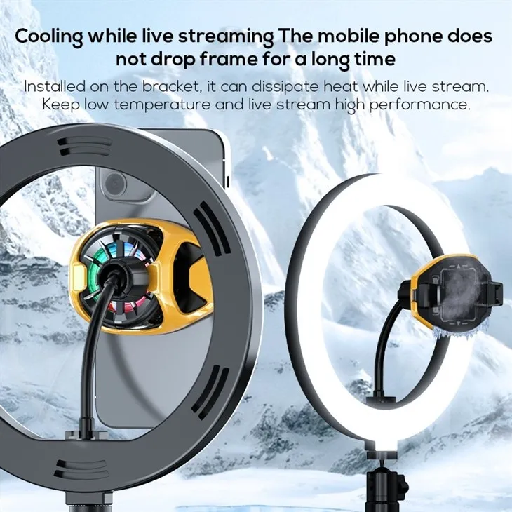 MEMO New Arrival DL22 RGB Nut Holes Portable Phone Cooler For Live Streaming suppliers